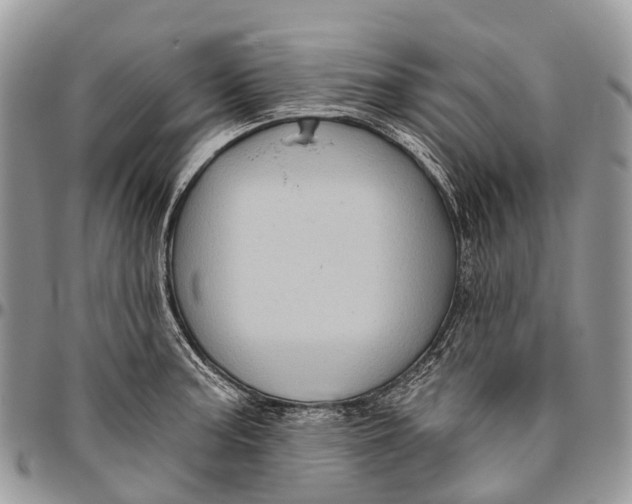 X0000096471187200802141651