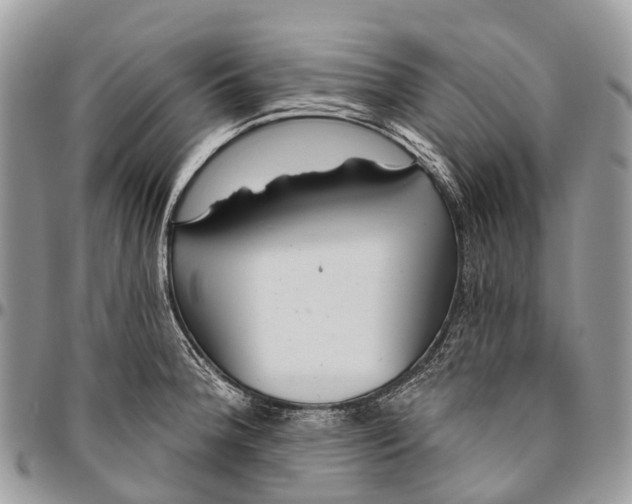 X0000096471188200802141651