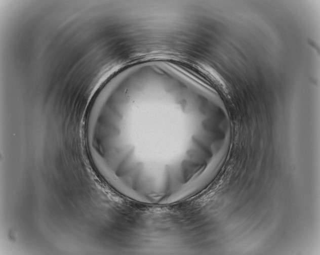 X0000096471190200802141650