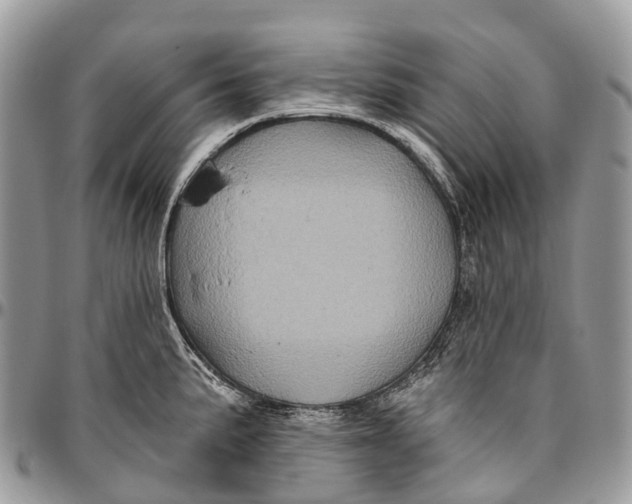 X0000096471191200802141650