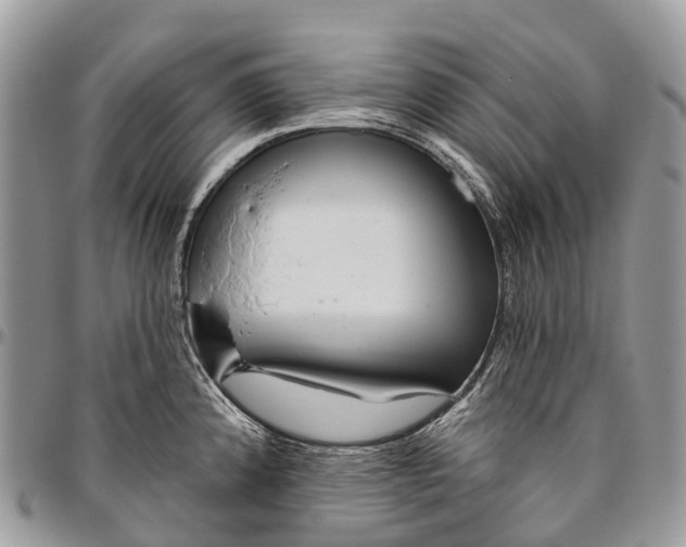 X0000096471192200802141650