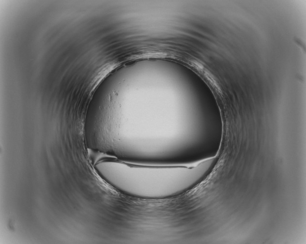 X0000096471193200802141650