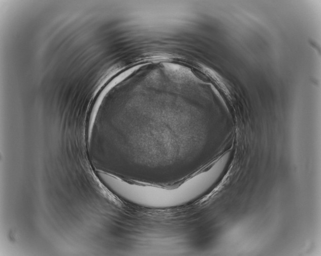 X0000096471194200802141650