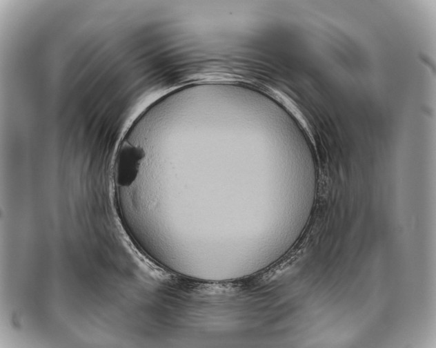 X0000096471195200802141650