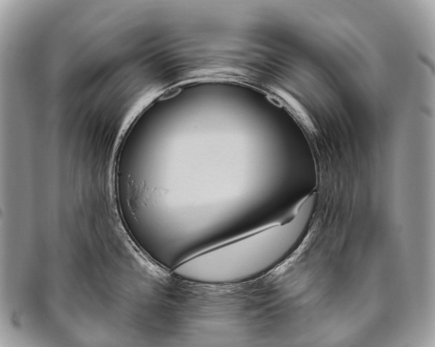 X0000096471196200802141650