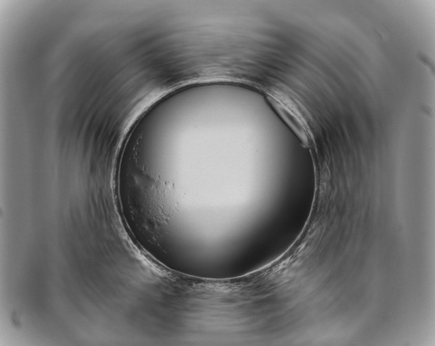 X0000096471197200802141650