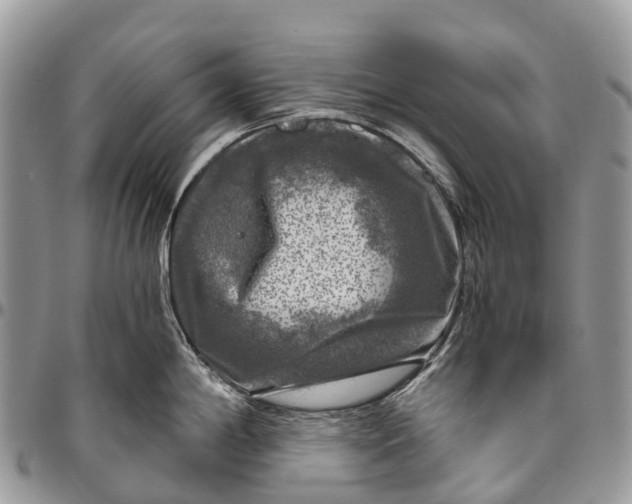 X0000096471198200802141650