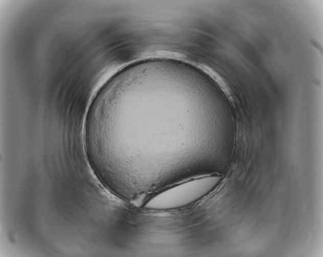 X0000096471199200802141650