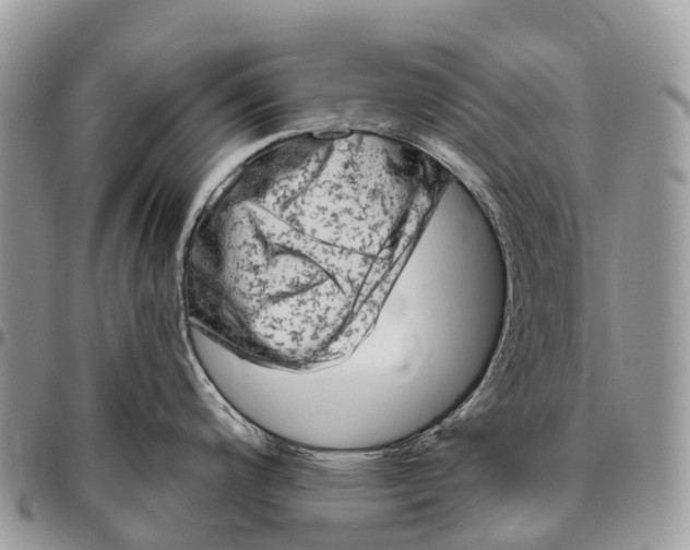 X0000096471200200802141650