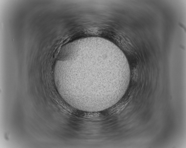 X0000096471201200802141650