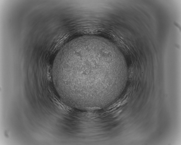 X0000096471202200802141650