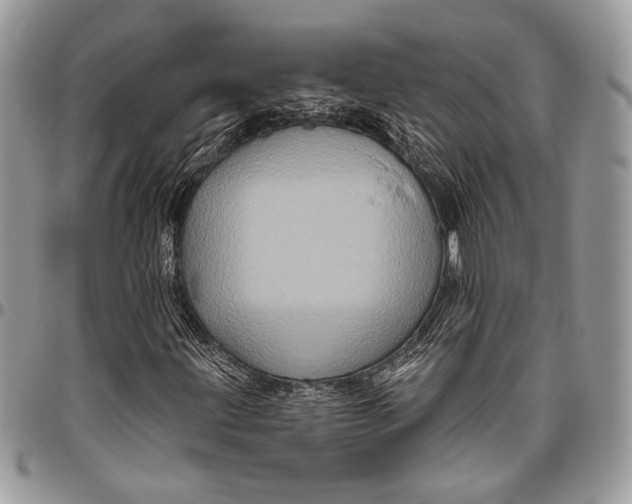 X0000096471203200802141650