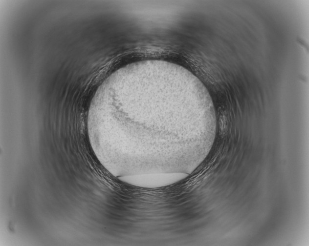 X0000096471204200802141650