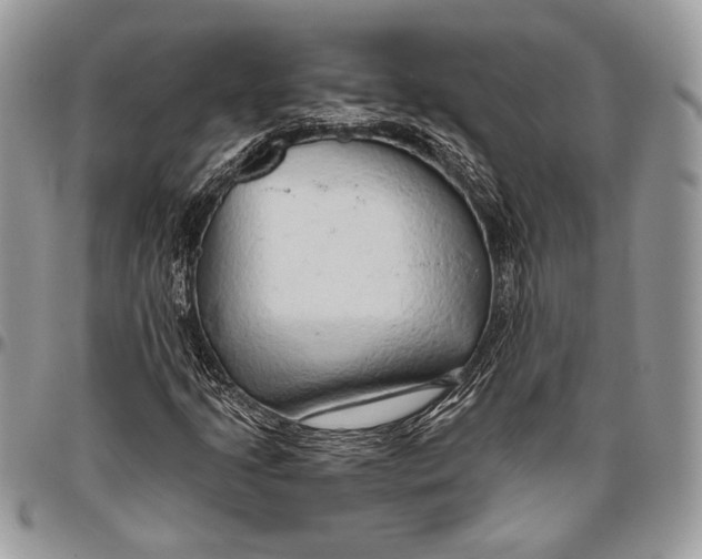 X0000096471205200802141650