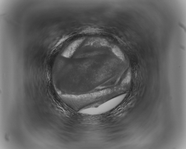 X0000096471206200802141650