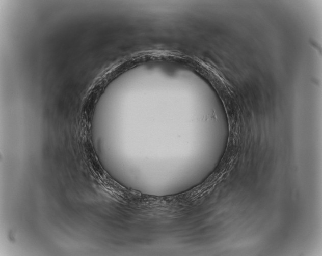 X0000096471207200802141650