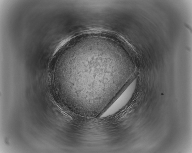 X0000096471208200802141650