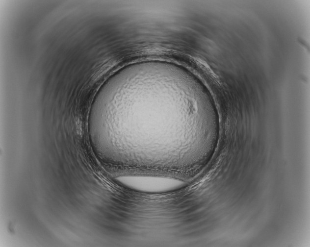 X0000096471209200802141650