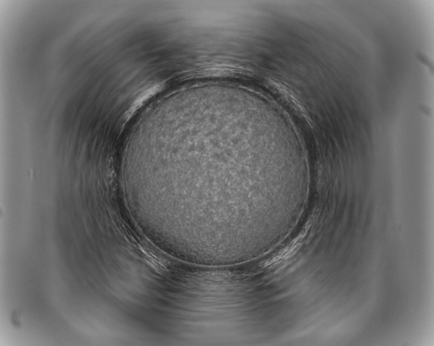 X0000096471210200802141650