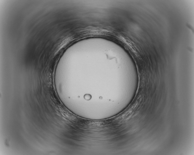 X0000096471211200802141650