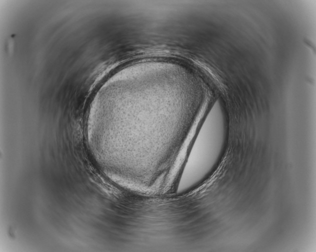 X0000096471212200802141650