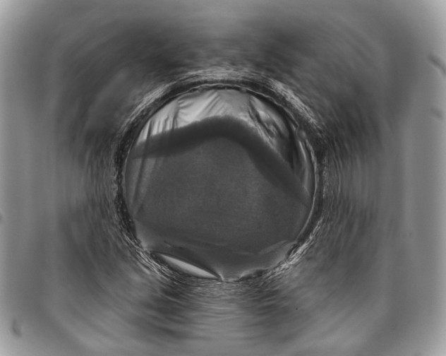 X0000096471213200802141650