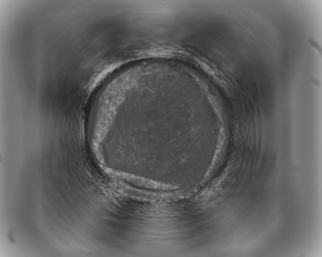 X0000096471214200802141650