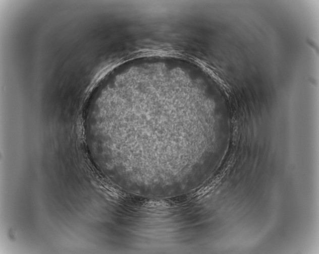 X0000096471215200802141650