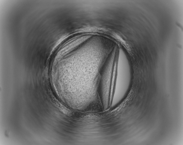 X0000096471216200802141650