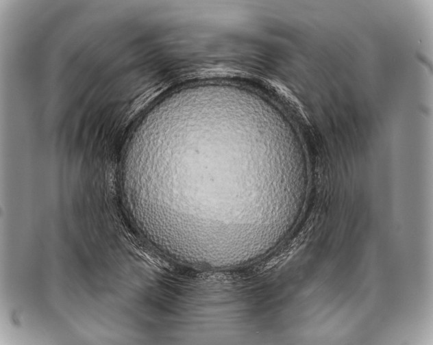 X0000096471217200802141650