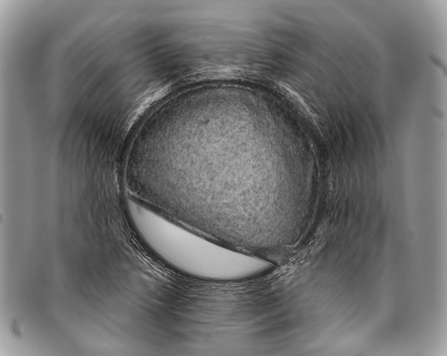 X0000096471218200802141650