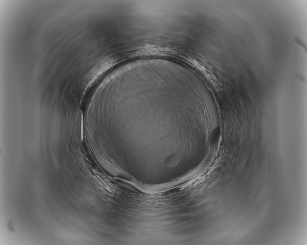 X0000096471219200802141650