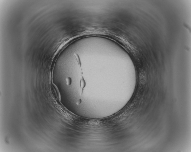 X0000096471220200802141650