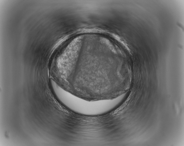 X0000096471221200802141650