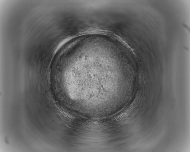 X0000096471222200802141650