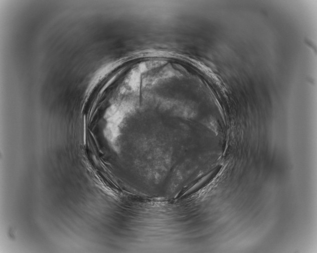 X0000096471223200802141650