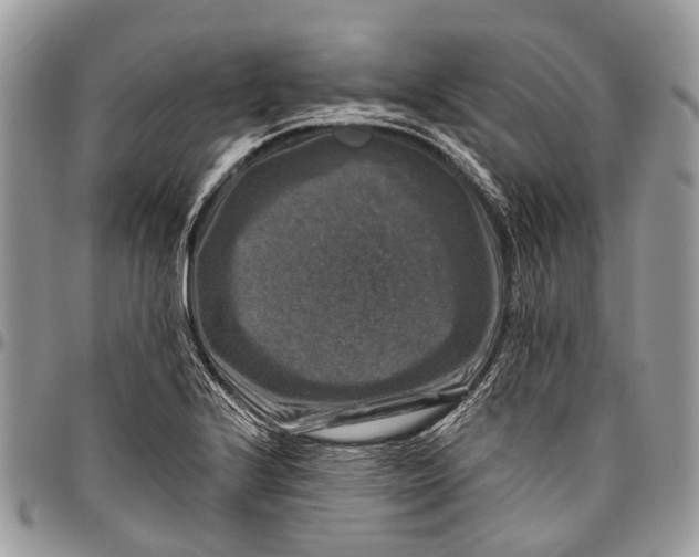 X0000096471224200802141650