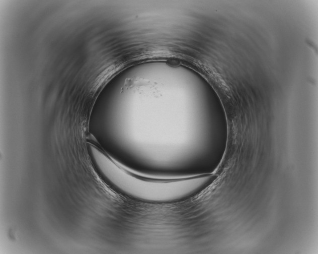 X0000096471225200802141650