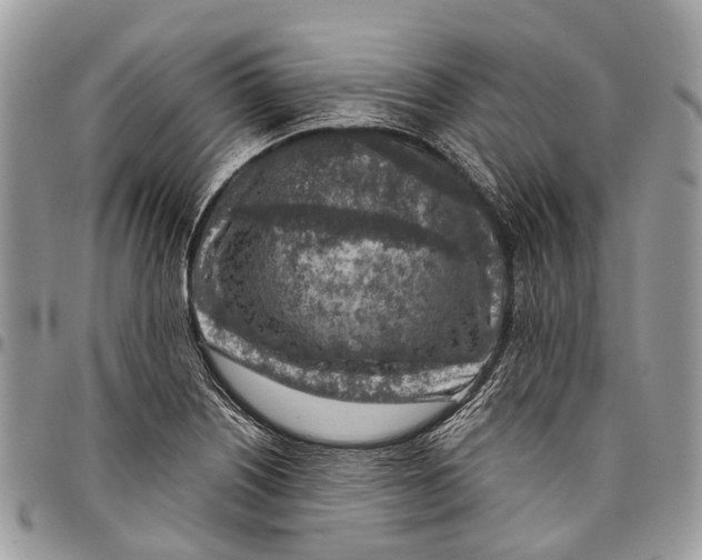 X0000096471226200802141650