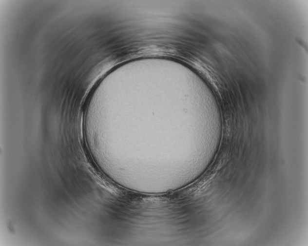 X0000096471227200802141650