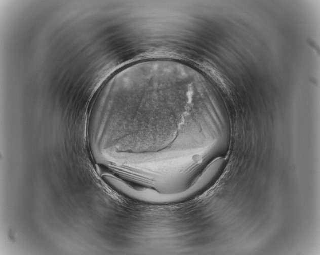 X0000096471228200802141650