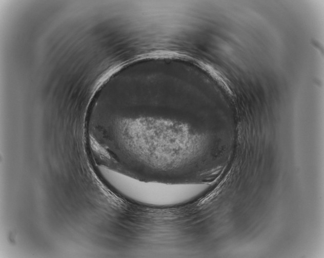 X0000096471229200802141650