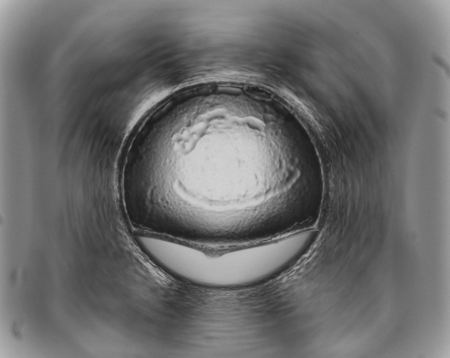 X0000096471230200802141650