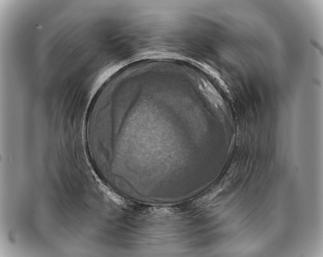 X0000096471231200802141650