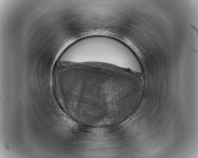 X0000096471232200802141650