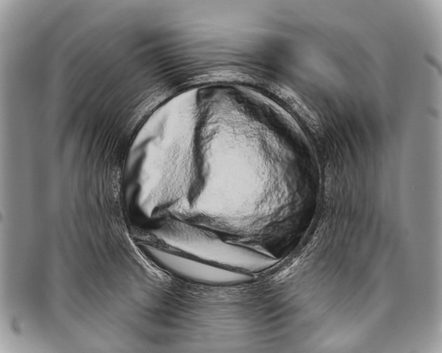 X0000096471233200802141650