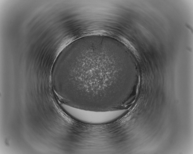 X0000096471234200802141650