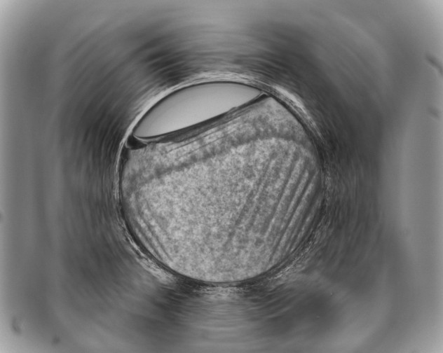 X0000096471236200802141650