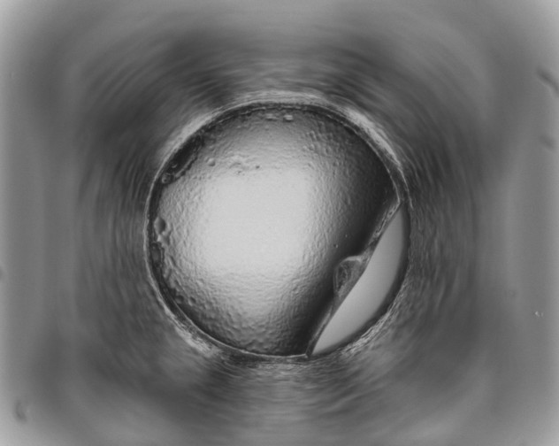 X0000096471237200802141650