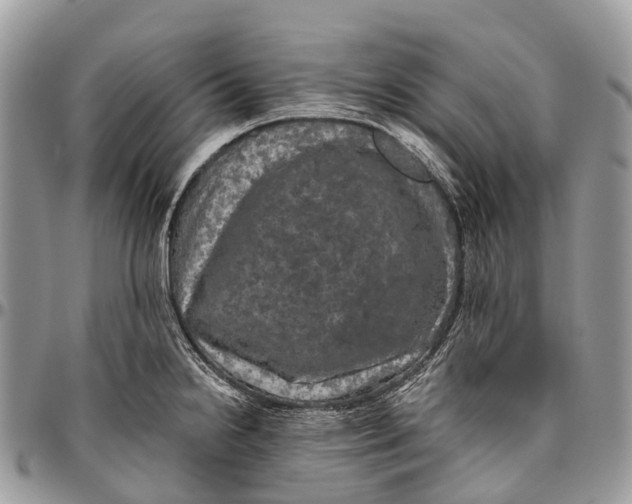 X0000096471238200802141650